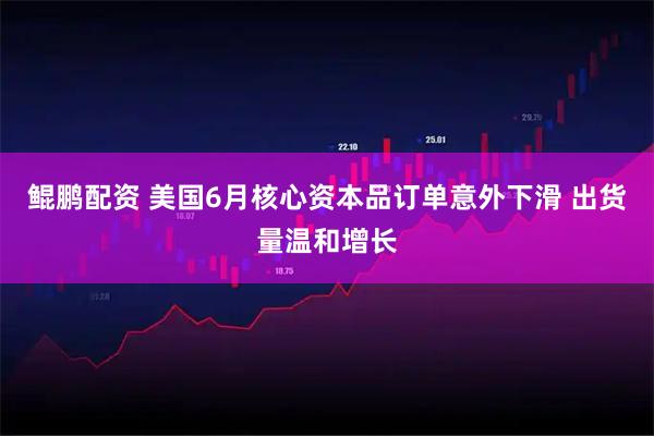 鲲鹏配资 美国6月核心资本品订单意外下滑 出货量温和增长