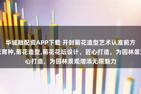 华城融配资APP下载 开封菊花造型艺术认准前方园艺，专注菊花育种,菊花造型,菊花花坛设计，匠心打造，为园林景观增添无限魅力