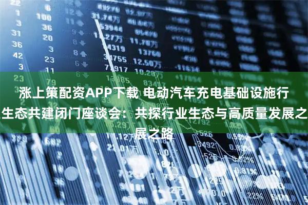 涨上策配资APP下载 电动汽车充电基础设施行业生态共建闭门座谈会：共探行业生态与高质量发展之路