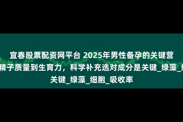 宜春股票配资网平台 2025年男性备孕的关键营养成分：从精子质量到生育力，科学补充选对成分是关键_绿藻_细胞_吸收率